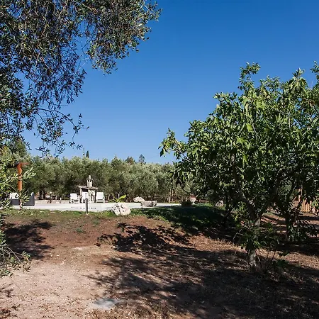 וילה Campagna Salento M137 *